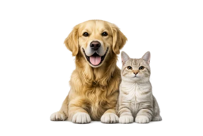 A puppy and kitten